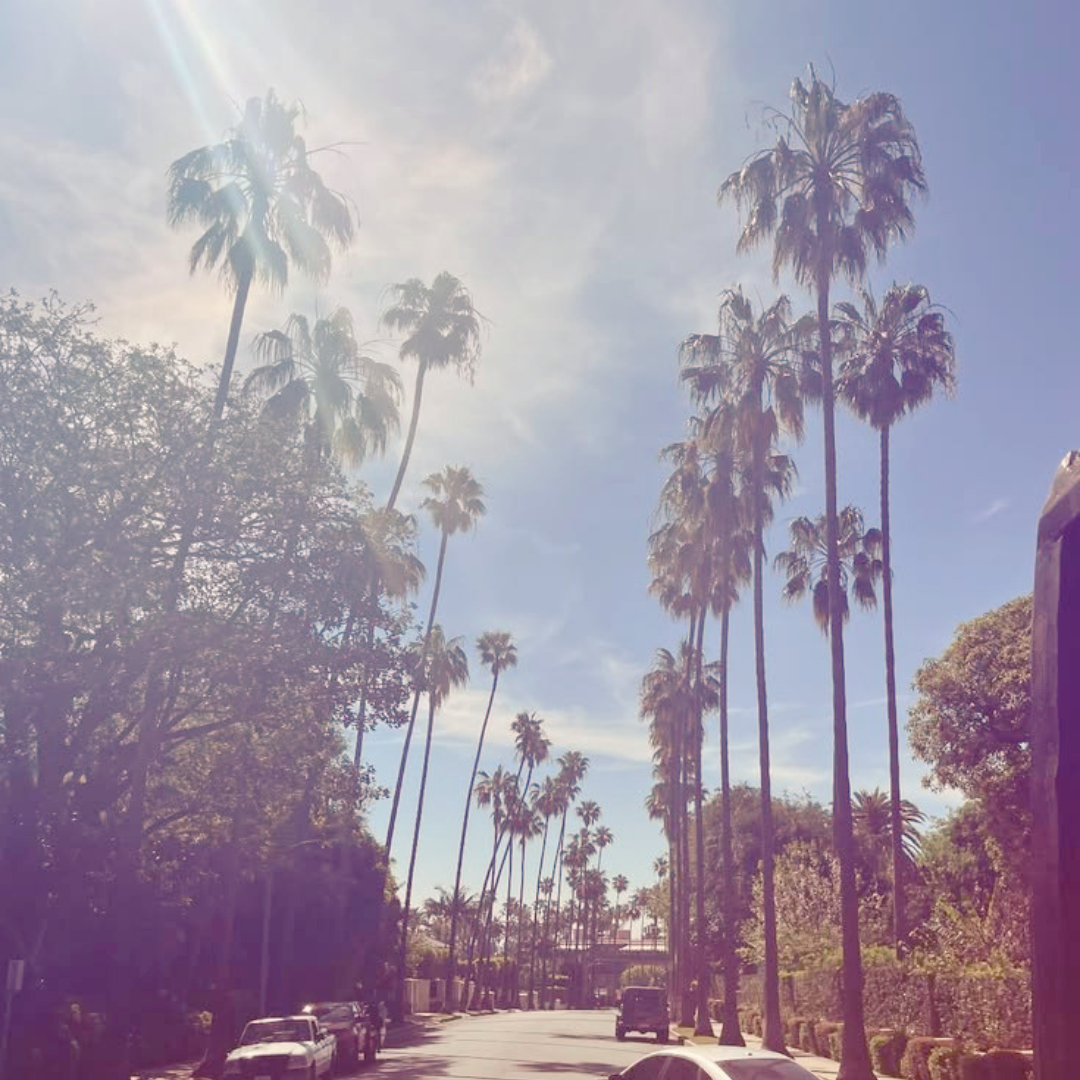 HILLS | WEST COAST