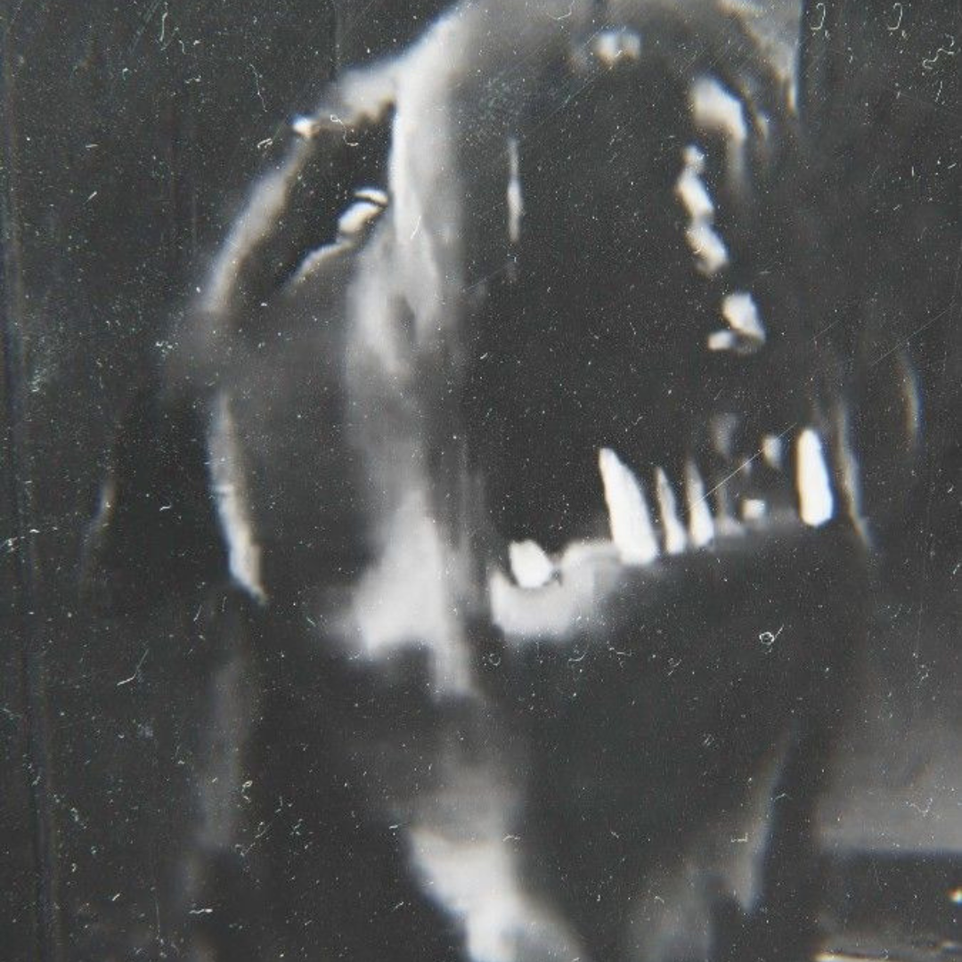 Rottweiler | Hard + Dark | West Coast