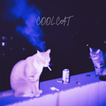 COOL CAT | BabySmoove Type Beat