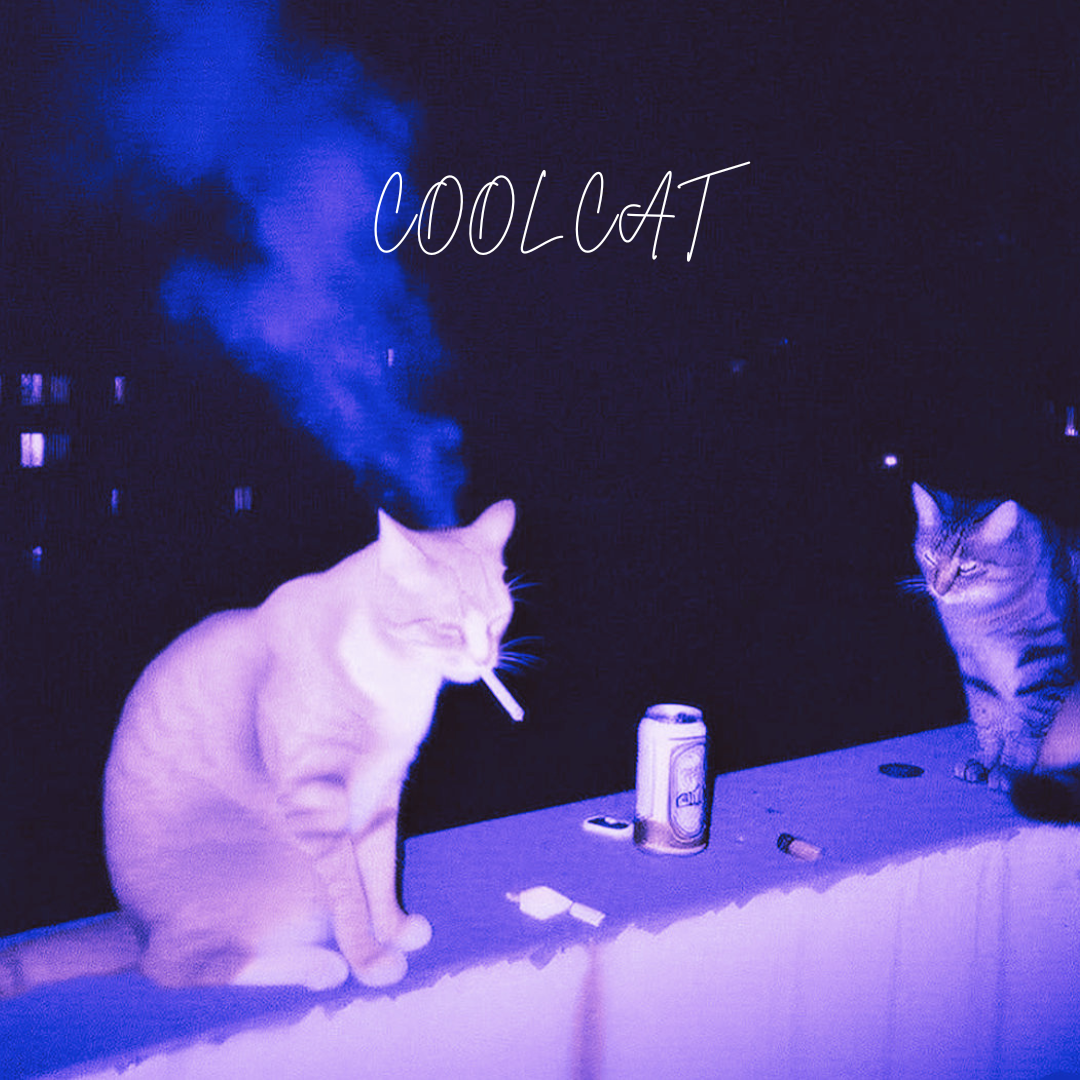 COOL CAT | BabySmoove Type Beat