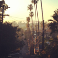 TRYHARD | WEST COAST