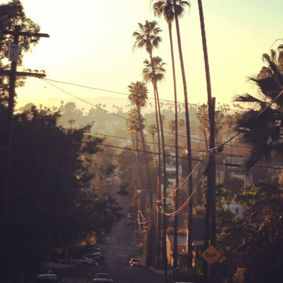 TRYHARD | WEST COAST